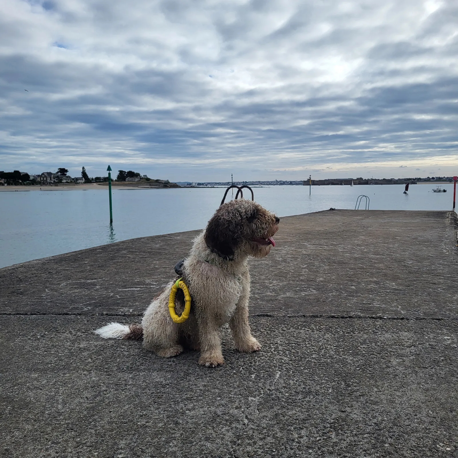 Jañlug ha Tino, e gi-dour