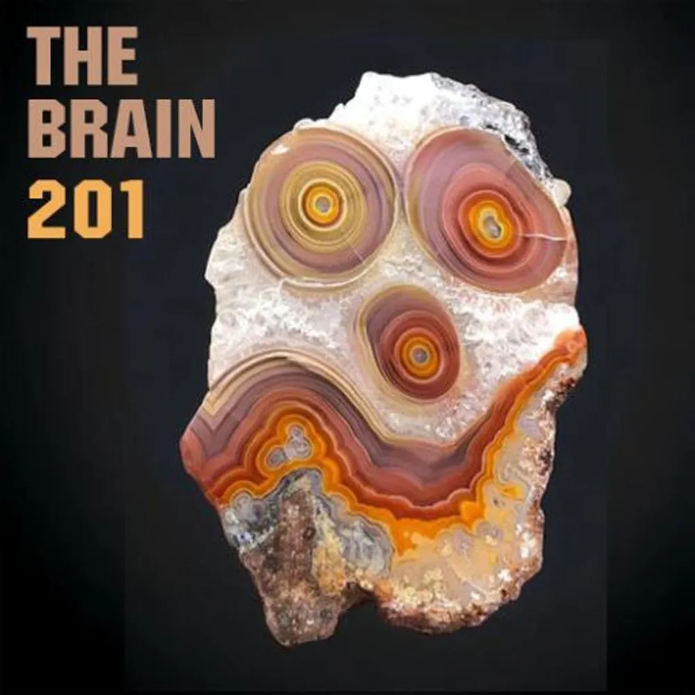THE BRAIN #201