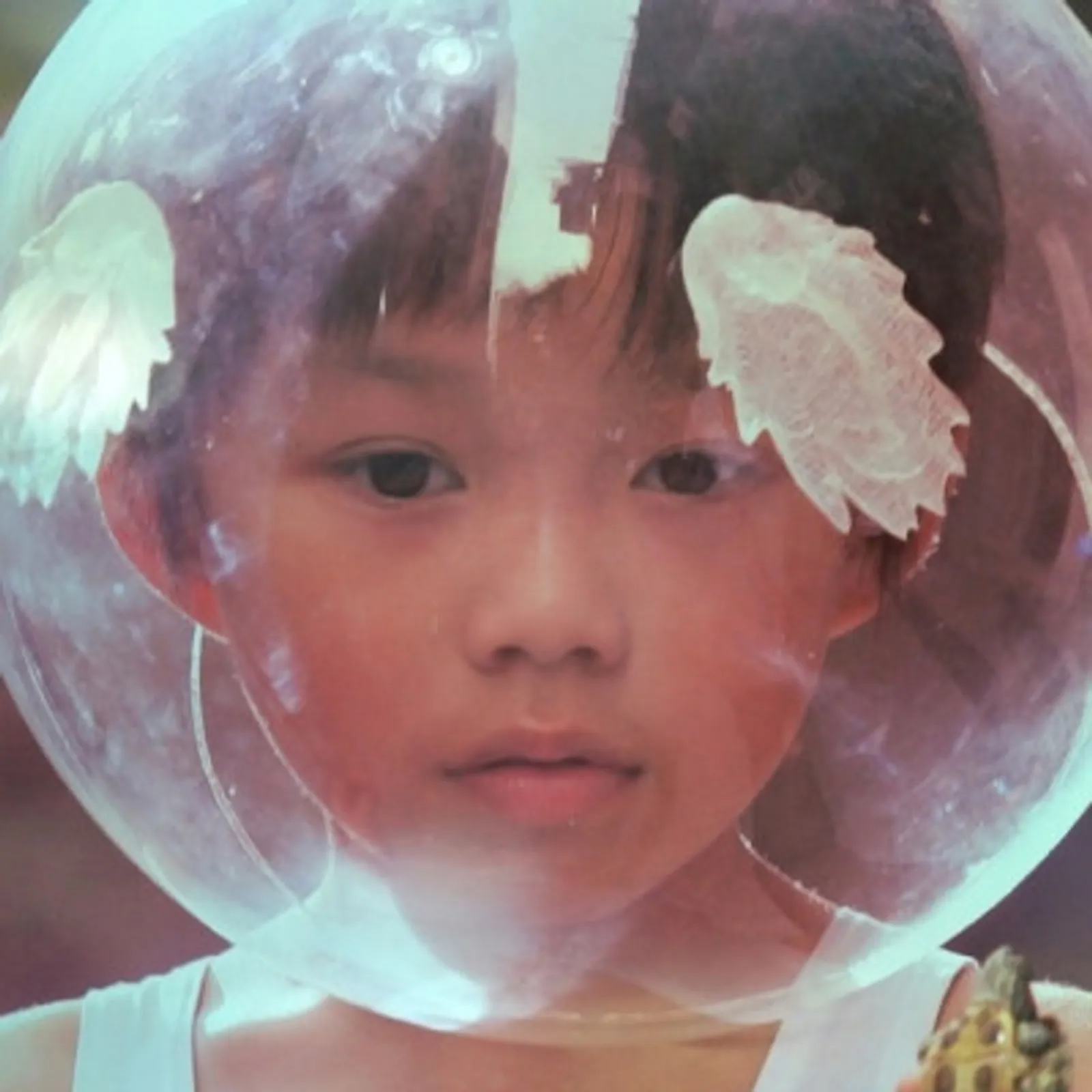 15.40: Sarde but true