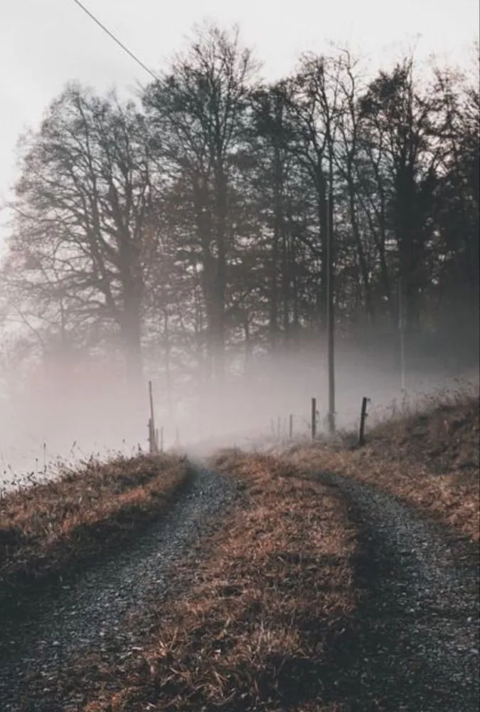 Les Détourneurs de Corbillards plongent dans l'Automne