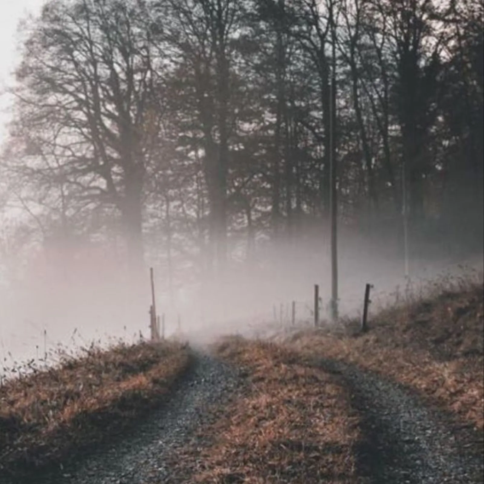 Les Détourneurs de Corbillards plongent dans l'Automne