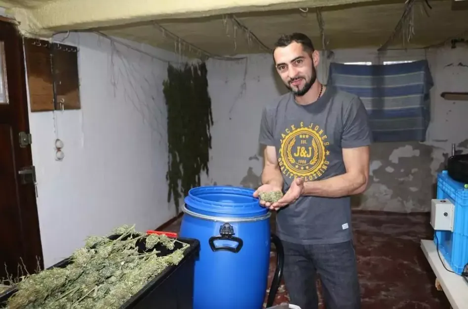 Jean-Marie Moëllo, cultivateur de chanvre bien-être