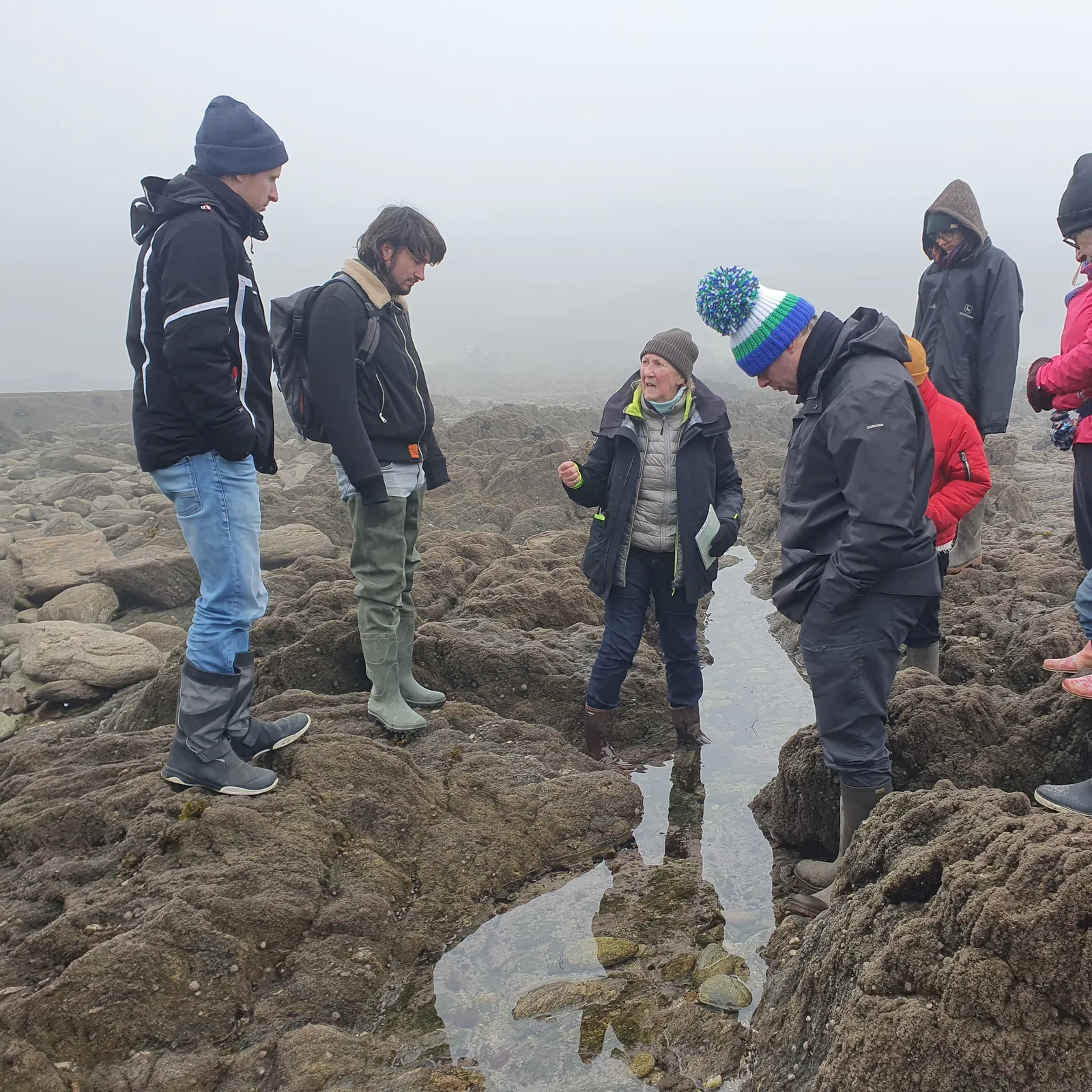 Ur valeadenn evit anaviñ gwelloc'h ar bezhin e Molan