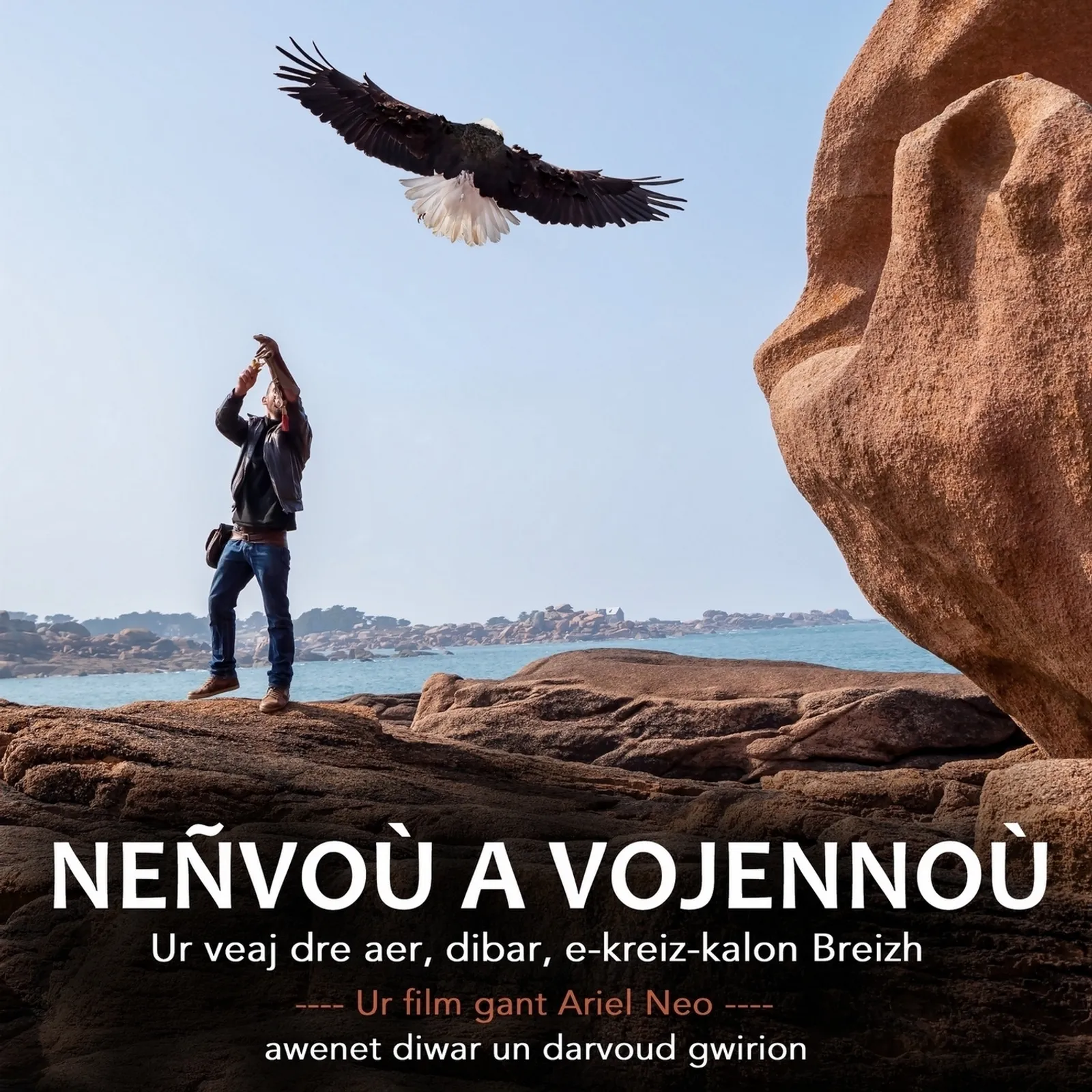 Neñvoù a vojennoù, ur veaj dre aer