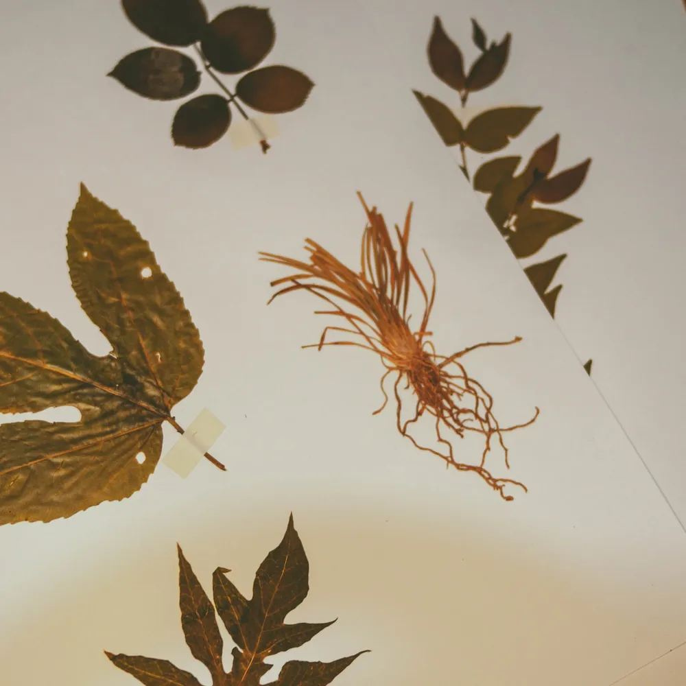 C'hwezh an deiz 09/11/2022