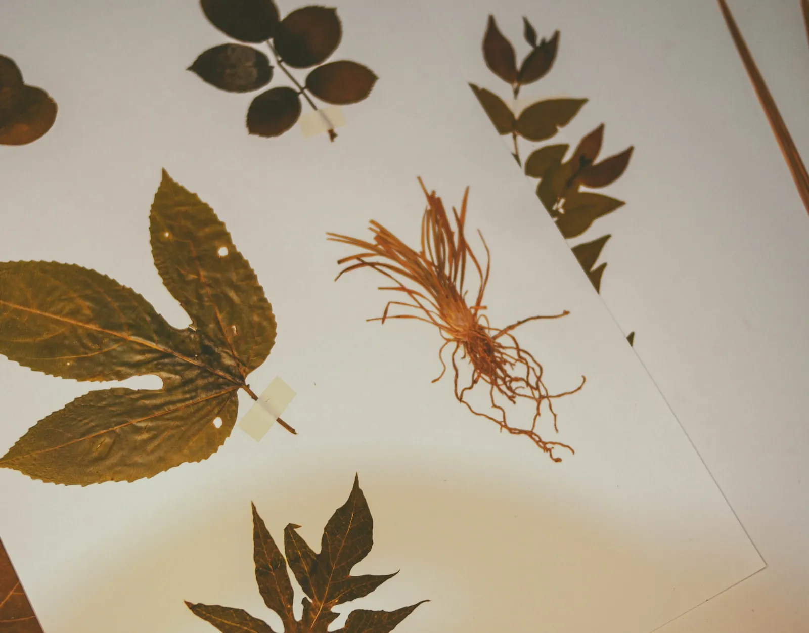 C'hwezh an deiz 09/11/2022