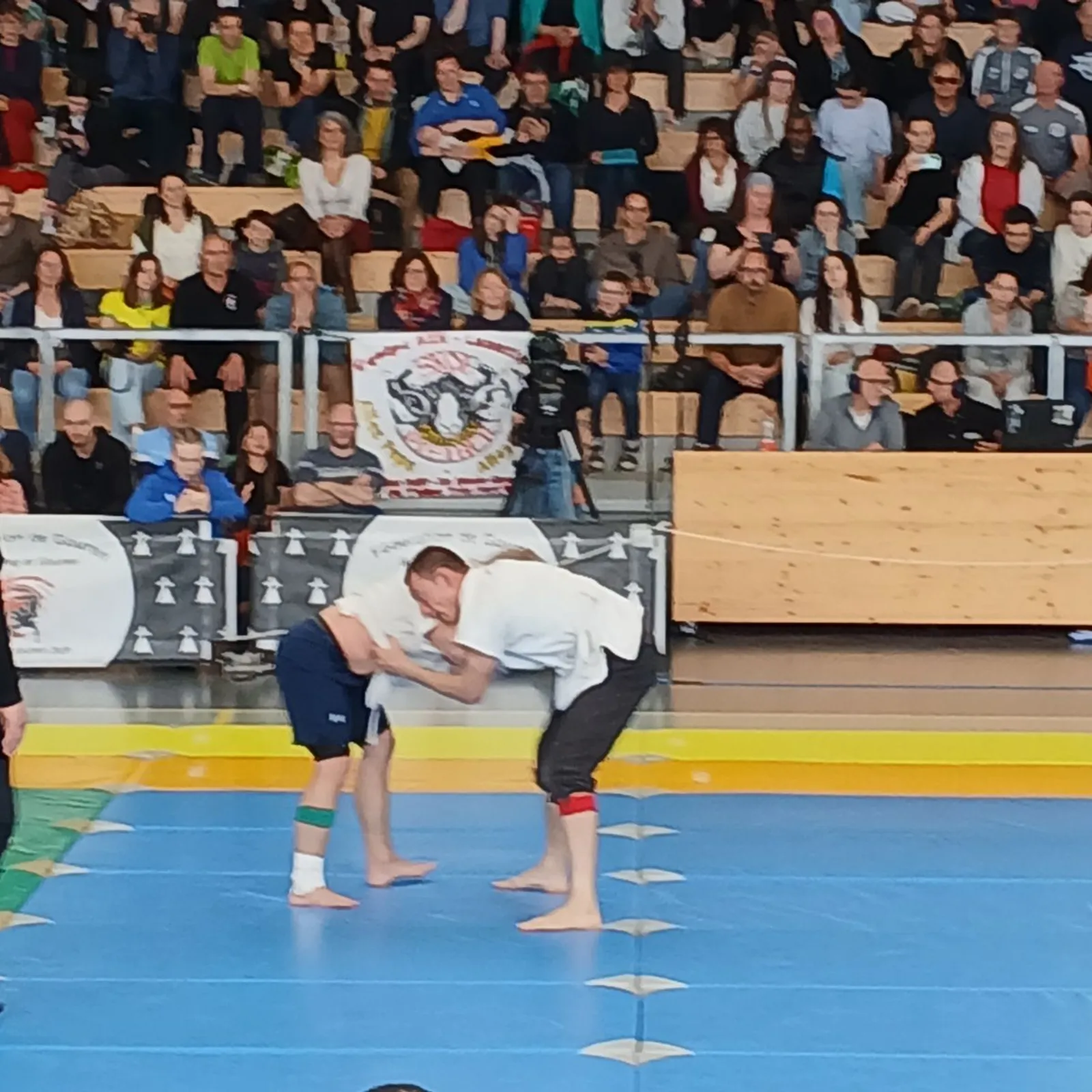 Un eostad a ditloù zo bet gounezet gant ar Vretoned 'ba Kampionad Europa gouren 