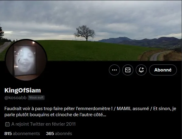 Trans Vinyl Express #193