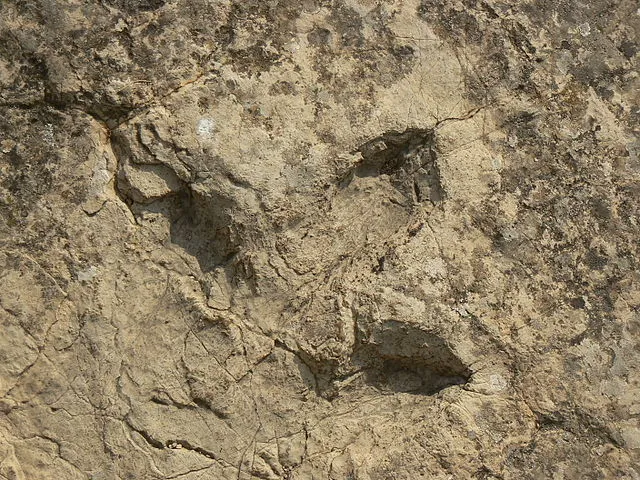 Gourhent an dinozored 