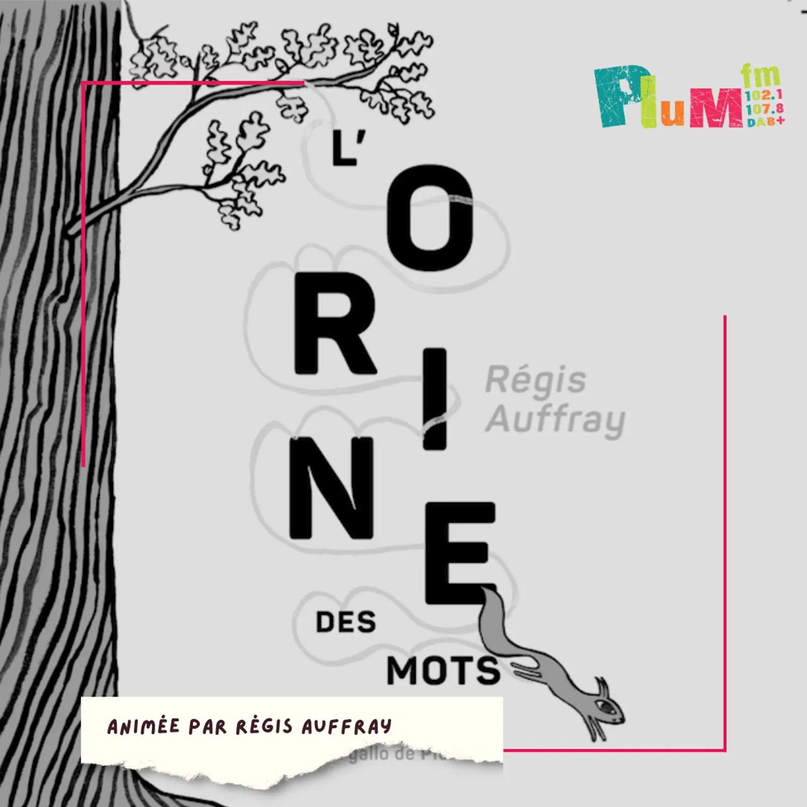 L'orine des mots #gallo