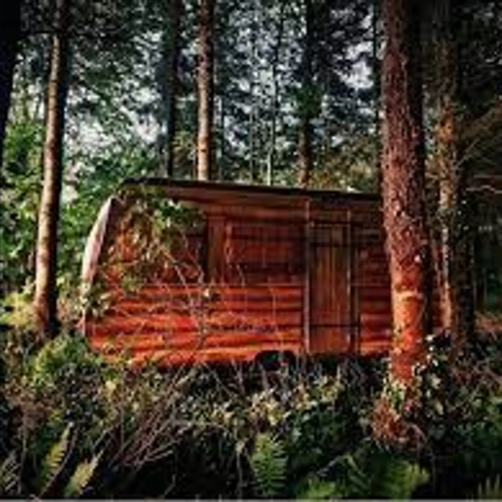 Escape the caravan - La cabane