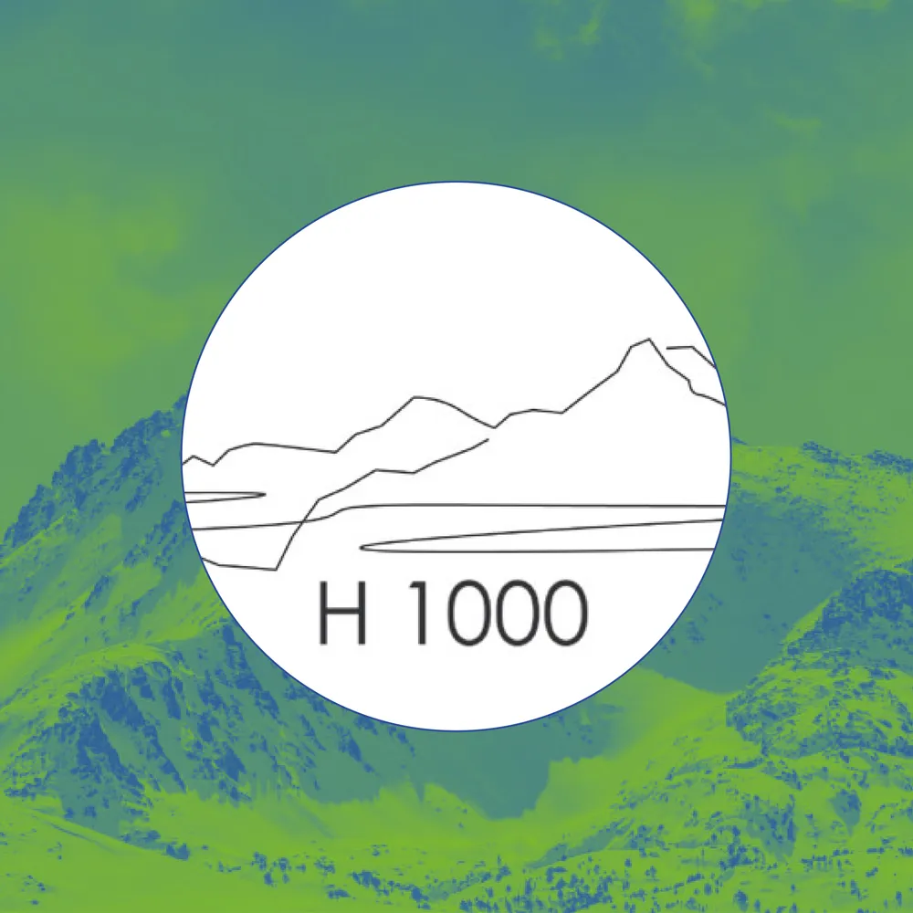 H1000