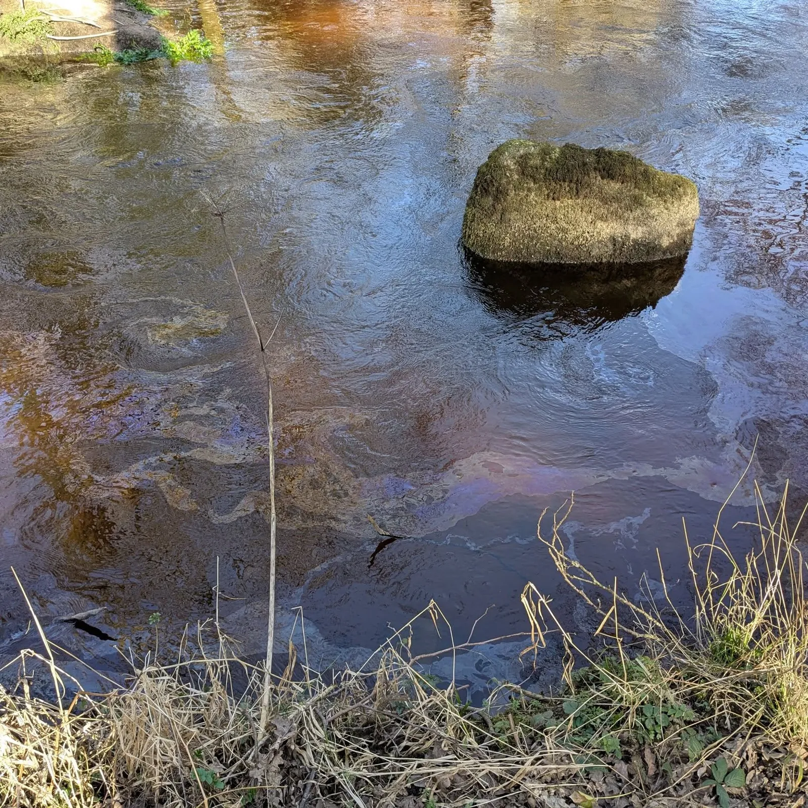 Pollution du Blavet, de la tristesse et des questions.