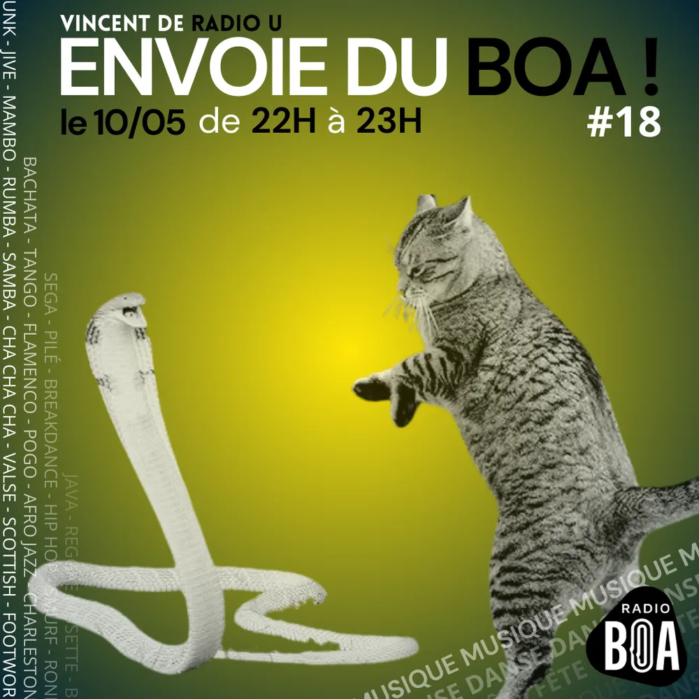 Vincent de Radio U, envoie du BOA ! #18