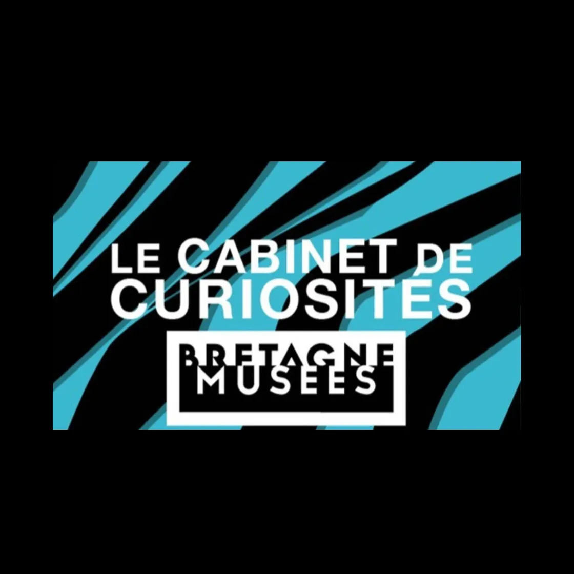 Bretagne Musées - Le cabinet de curiosités 