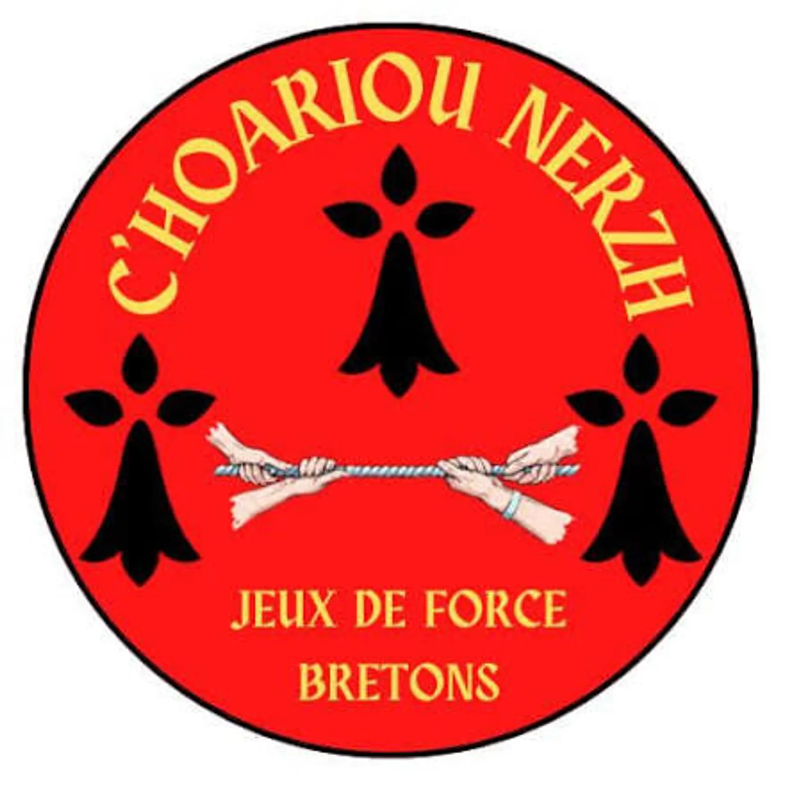 Opsion c'hoarioù breton e skolaj Boulvriag