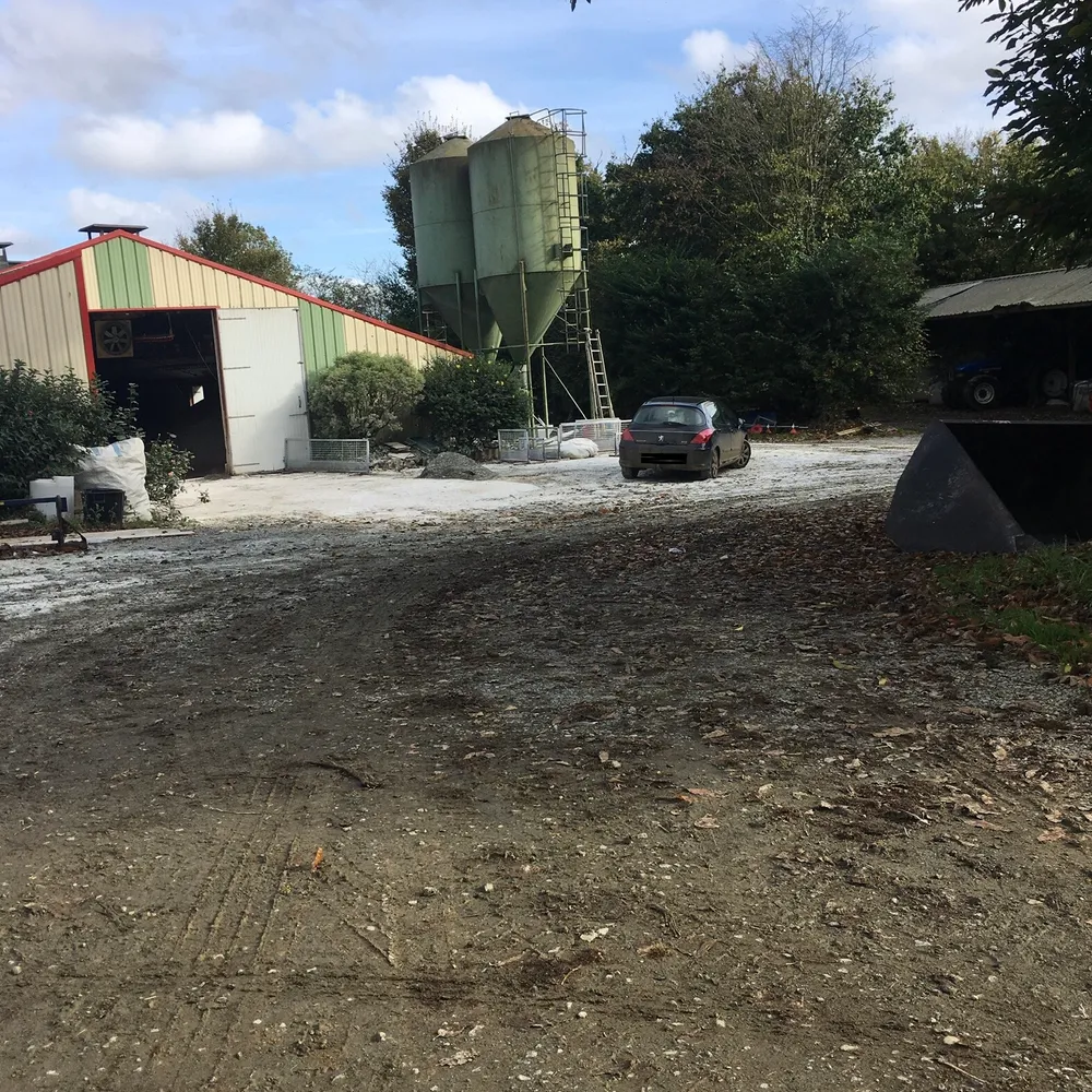 Grippe aviaire en Côtes d'Armor épisode 04 : la pêcheuse et l'éleveur de volailles