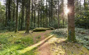 Dominique Jouve - Bro Koste ar C'hoed, an dañs, ar vuzik hag an dud - 03