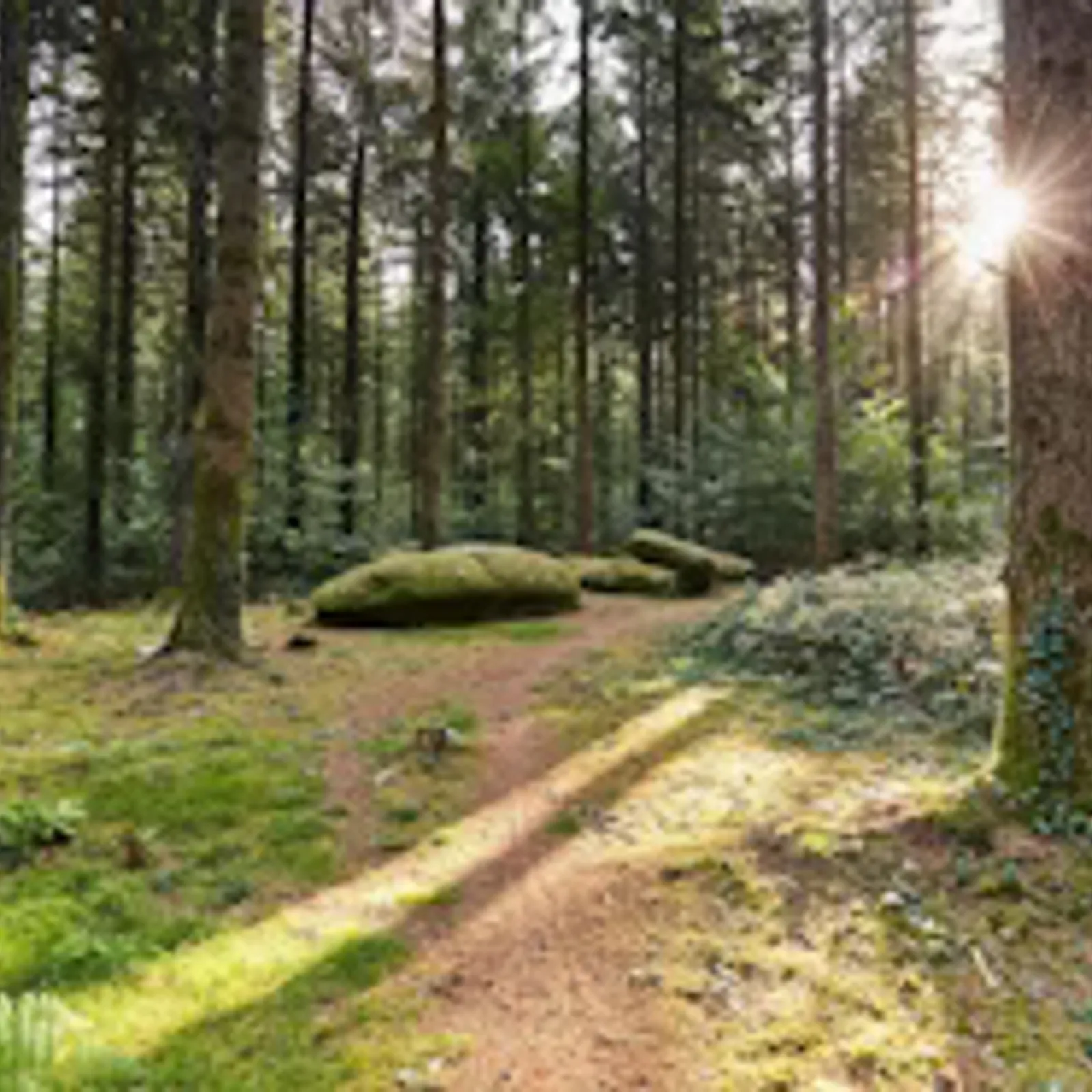 Dominique Jouve - Bro Koste ar C'hoed, an dañs, ar vuzik hag an dud - 03