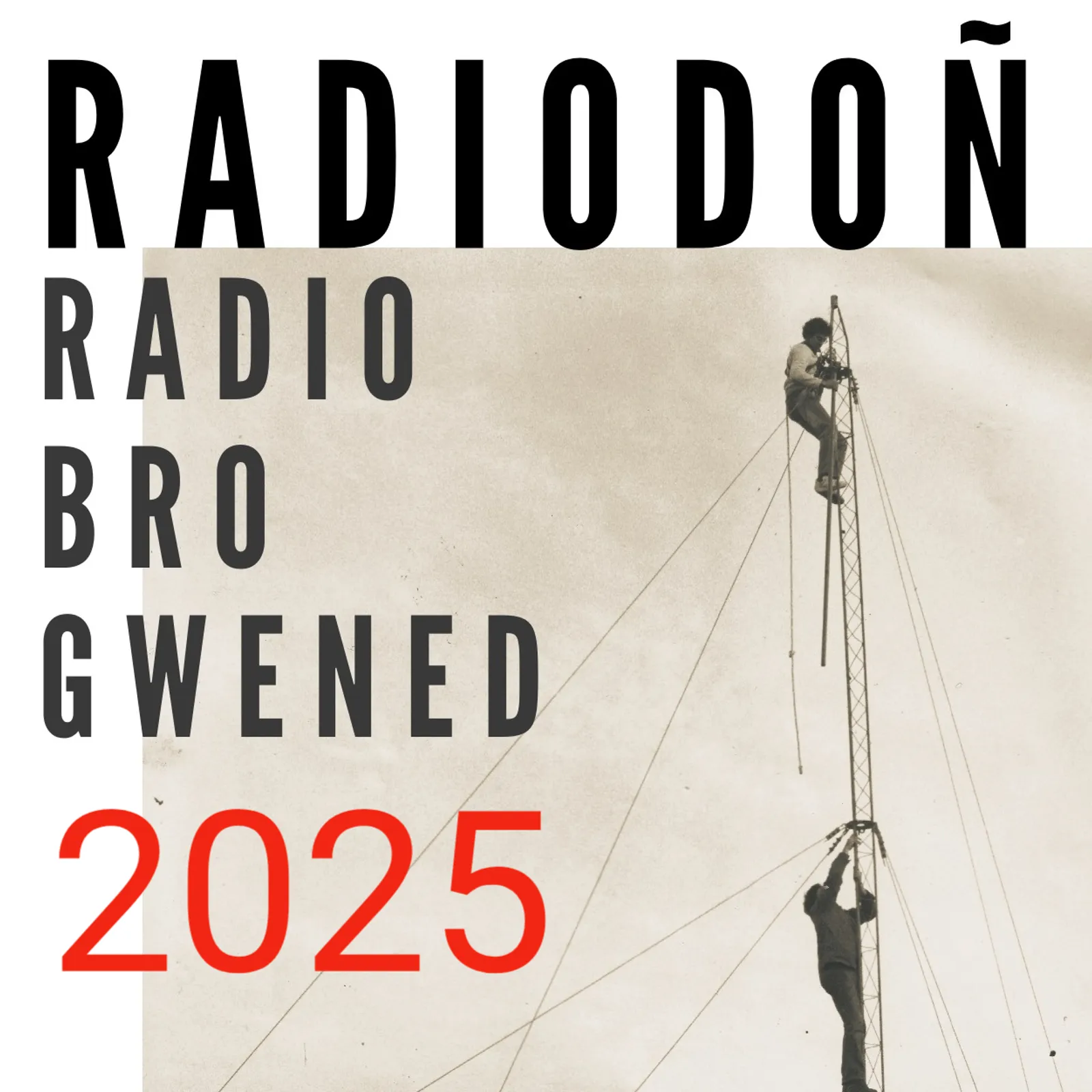 Lancement du Radiodoñ ! - Jeudi en direct