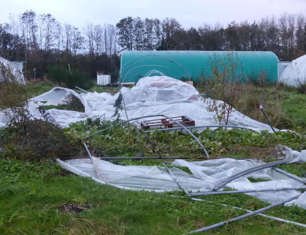 C'hwezh an Deiz 15/11/2023