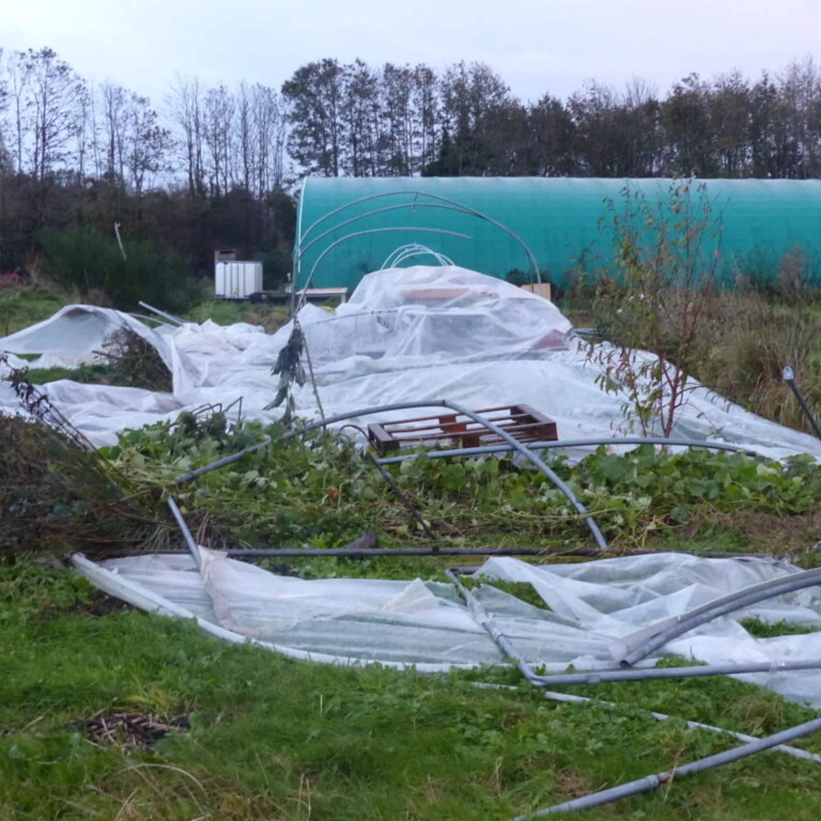 C'hwezh an Deiz 15/11/2023