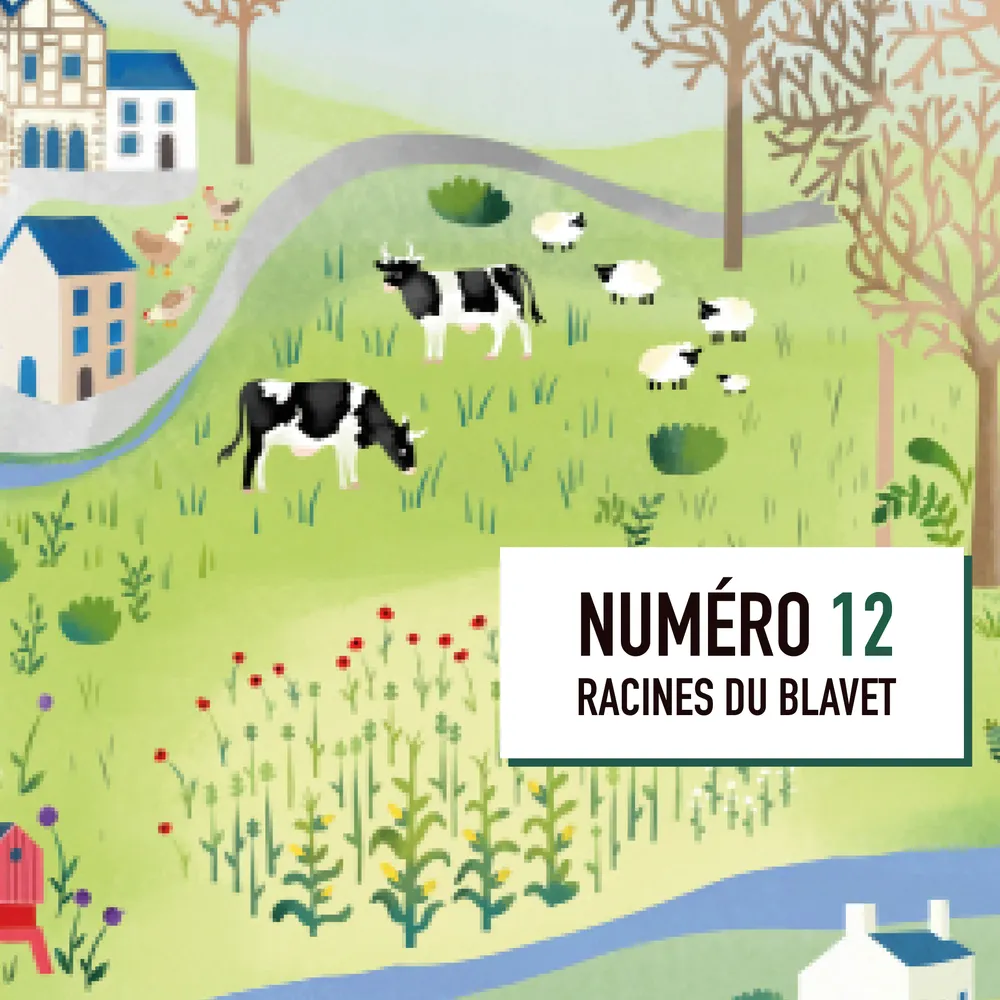 12- Racines du Blavet 