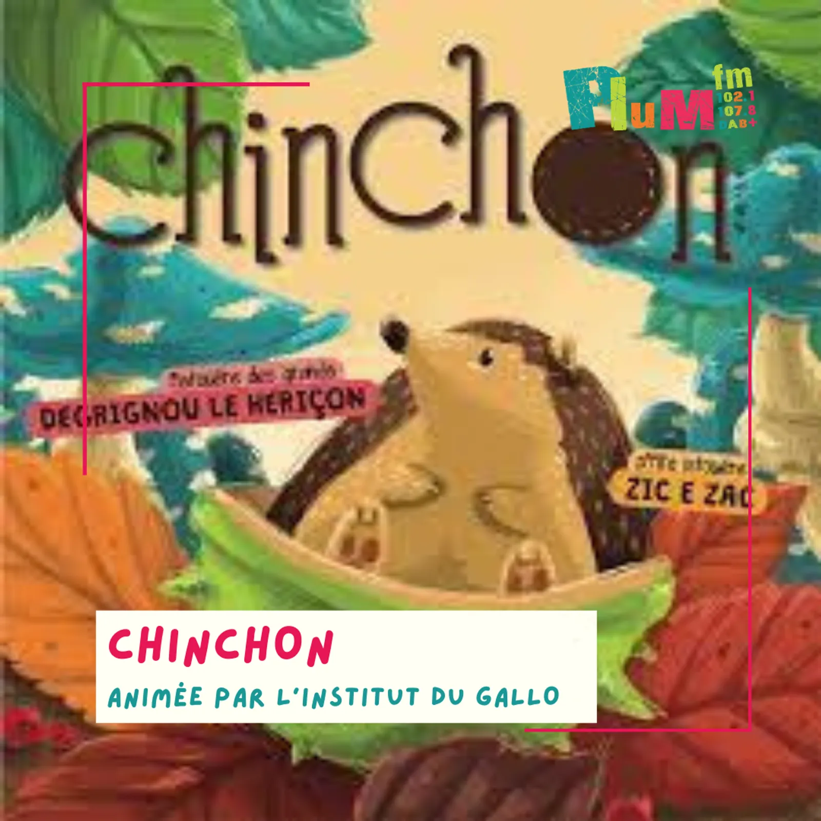 Chinchon #gallo