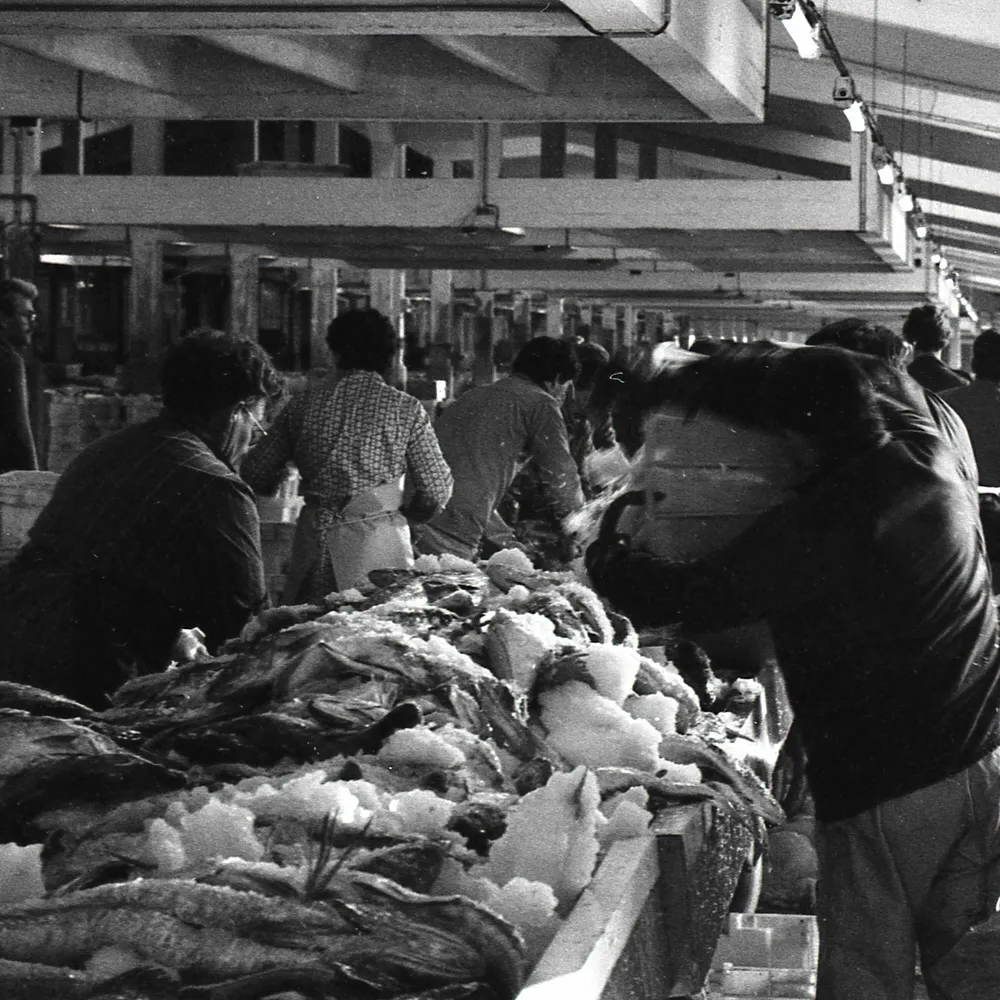 Les femmes du port de pêche de Lorient (1965-1985)