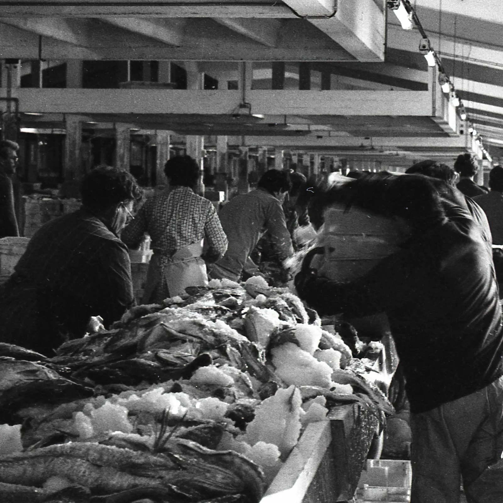 Les femmes du port de pêche de Lorient (1965-1985)