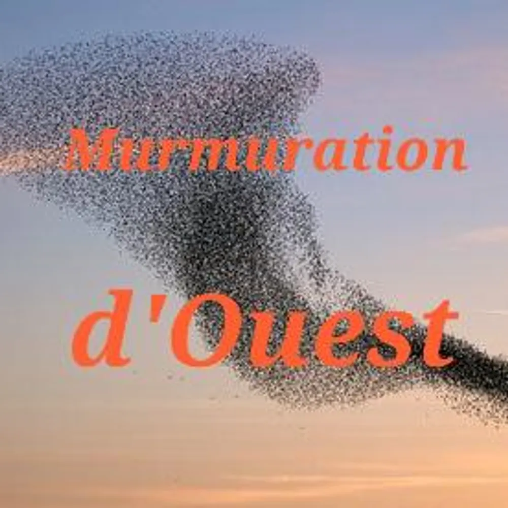 Murmuration d'Ouest : théâtre et création sonore à Ti ar Vro Bro Gwened