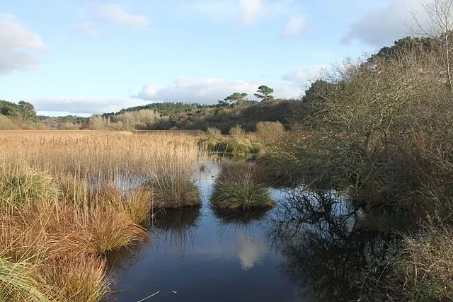 C'hwezh an Deiz 14/02/2023