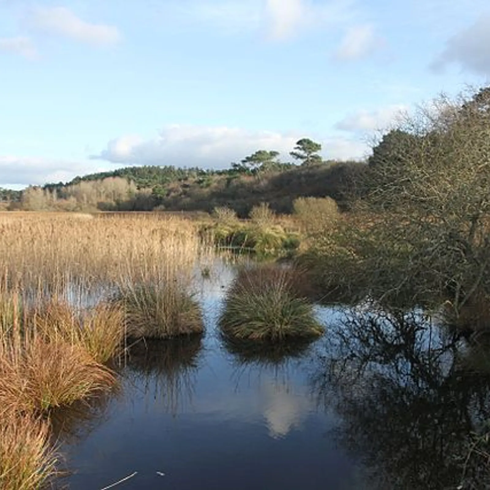 C'hwezh an Deiz 14/02/2023