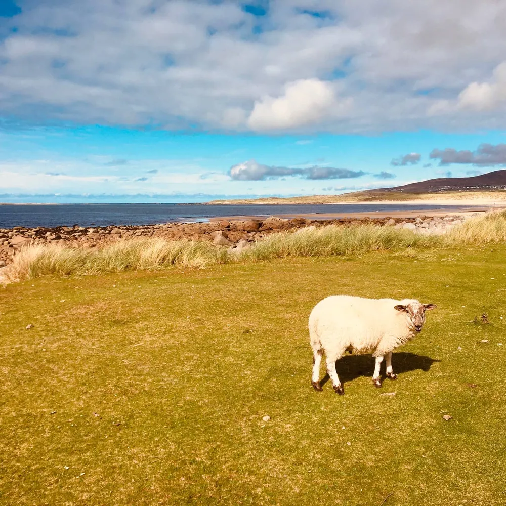 Sur les routes du Donegal