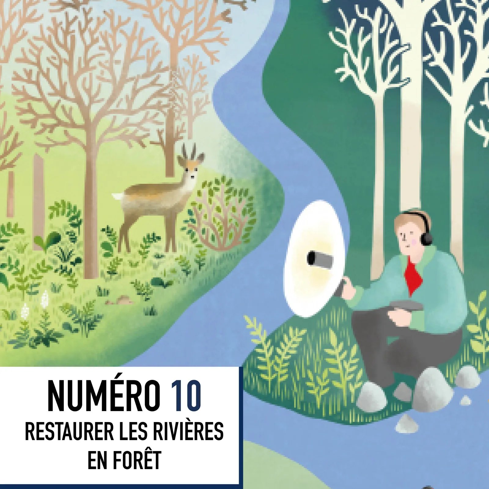 10-Restauration des rivières en forêt