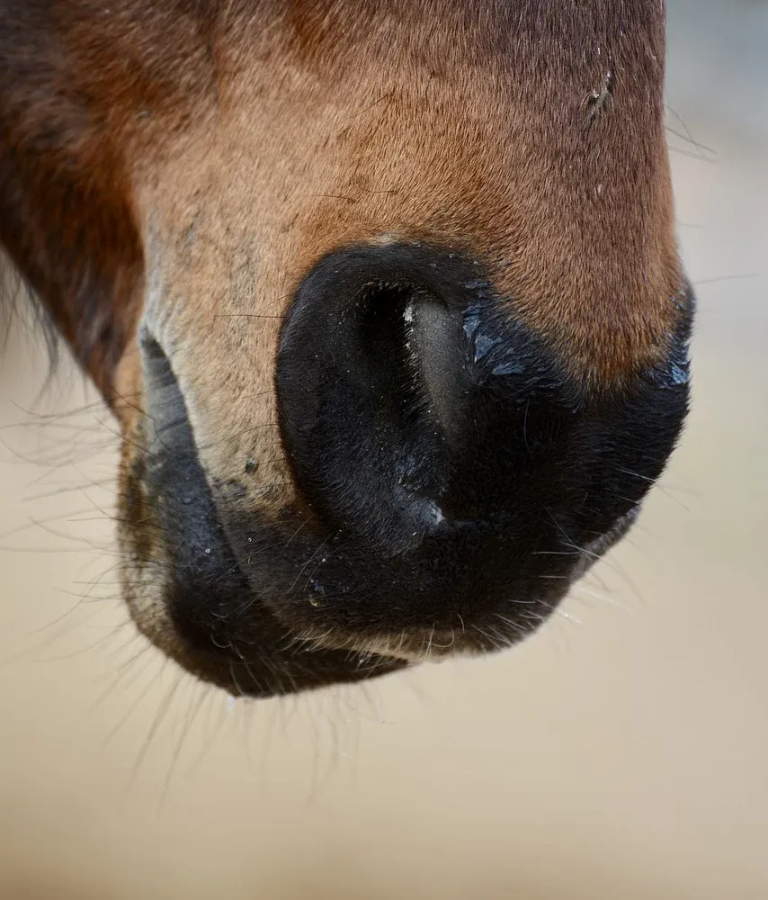 C'hwezh an Deiz 01/03/2024