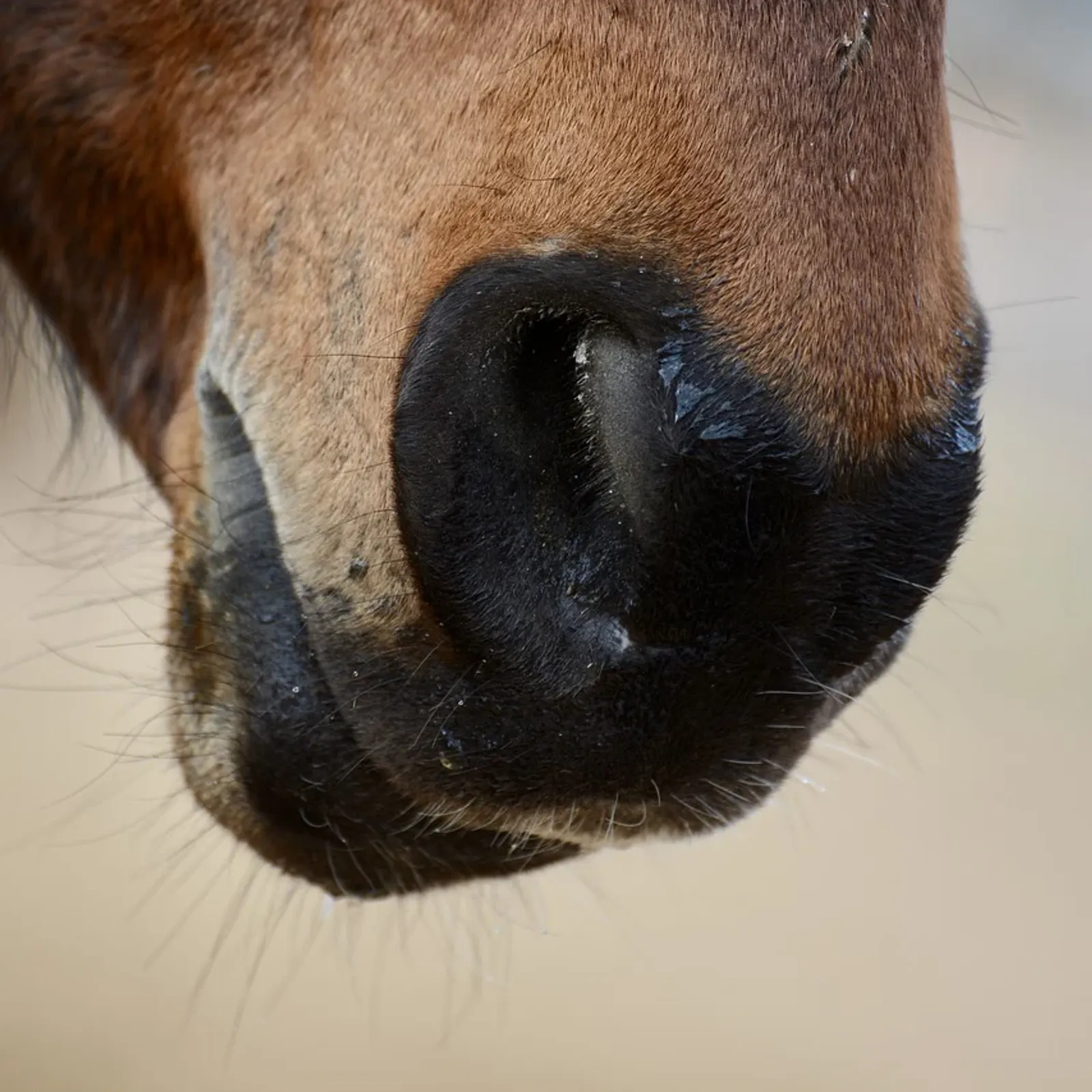 C'hwezh an Deiz 01/03/2024