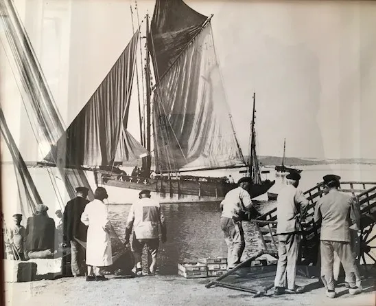 Alain Le Chat de Plouhinec -2