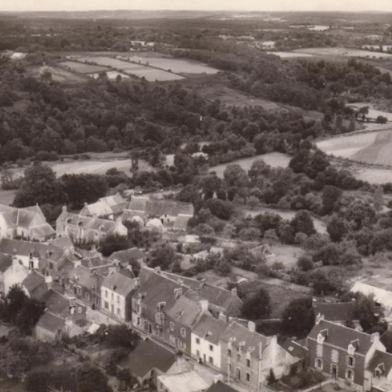 Lucienne Riguidel 2/2