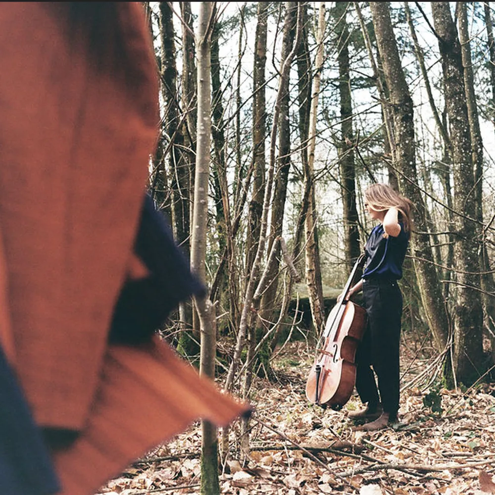 Suzanne Fischer : Une Petite Chose