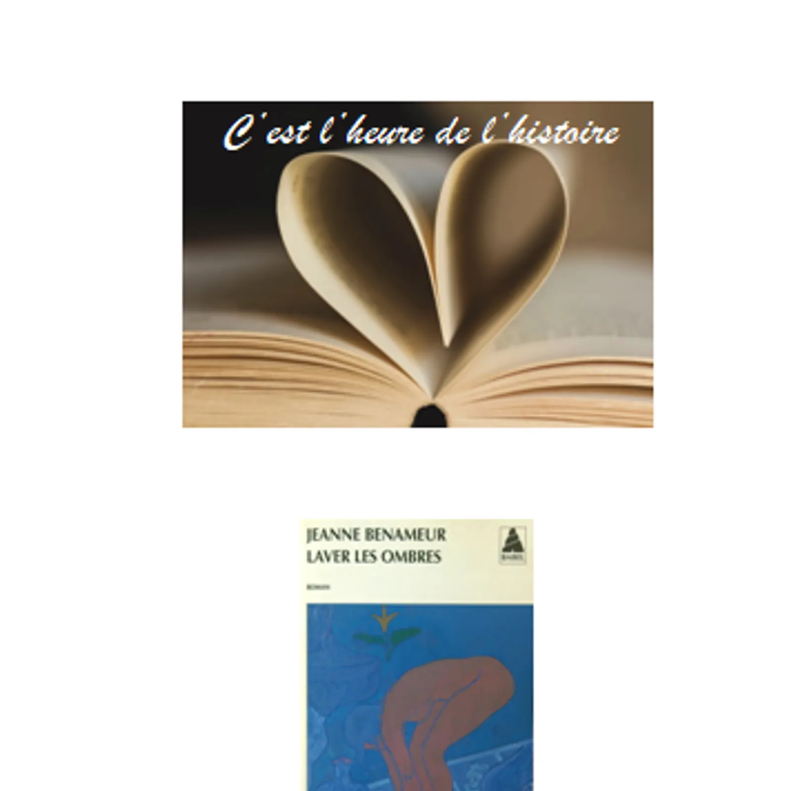 Laver les ombres - Jeanne Benameur