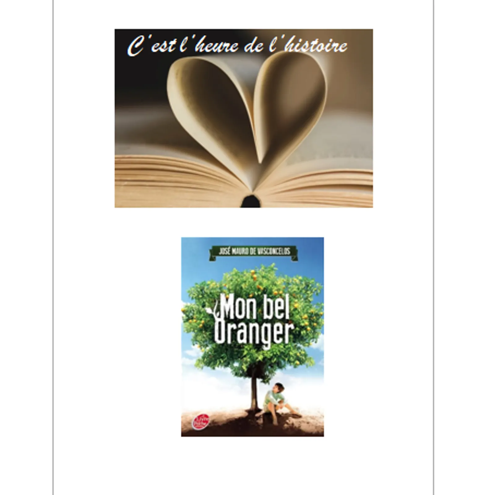 Mon bel oranger - José Mauro de Vasconcelos