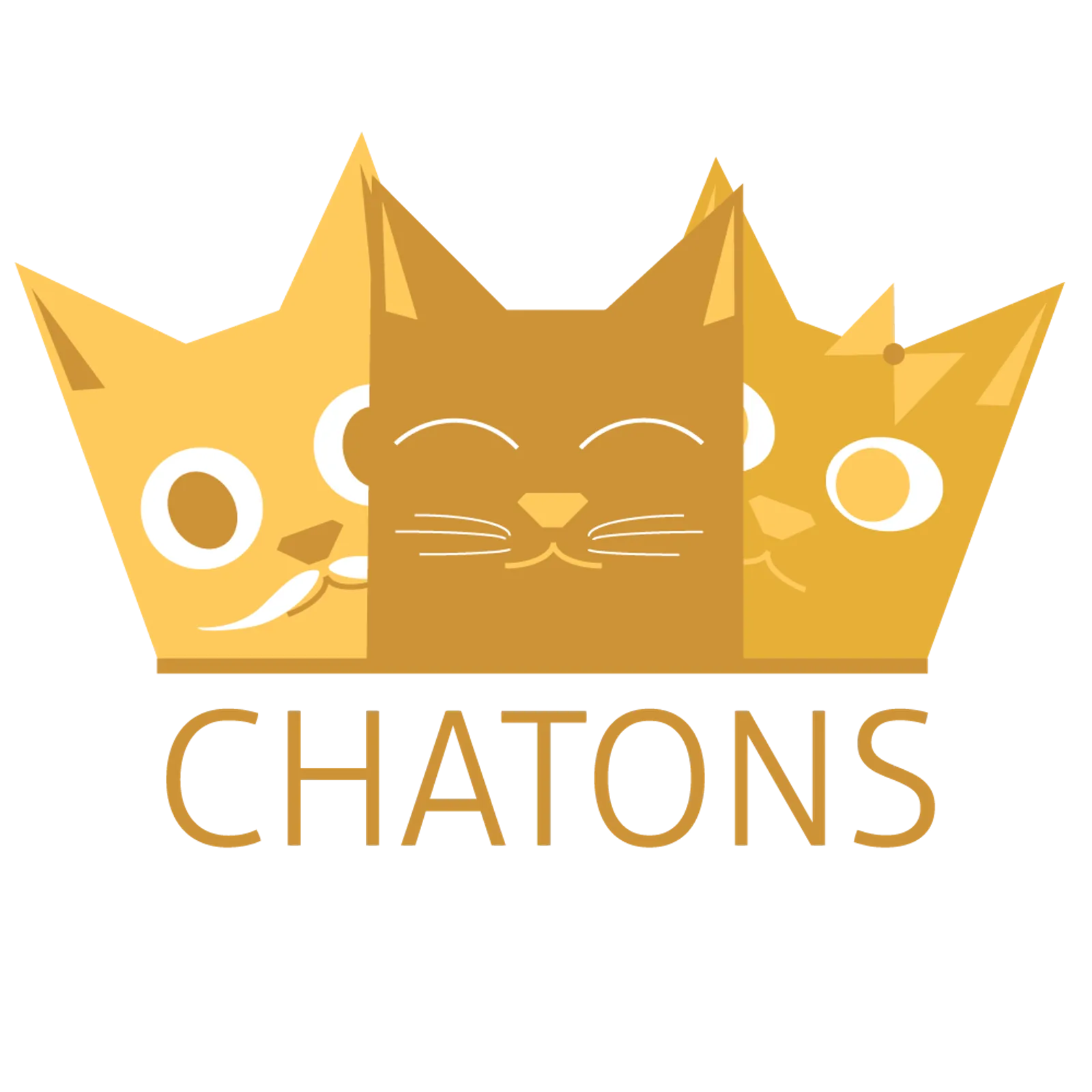 Emploi des "chats" décentralisés et locaux pour le télétravail