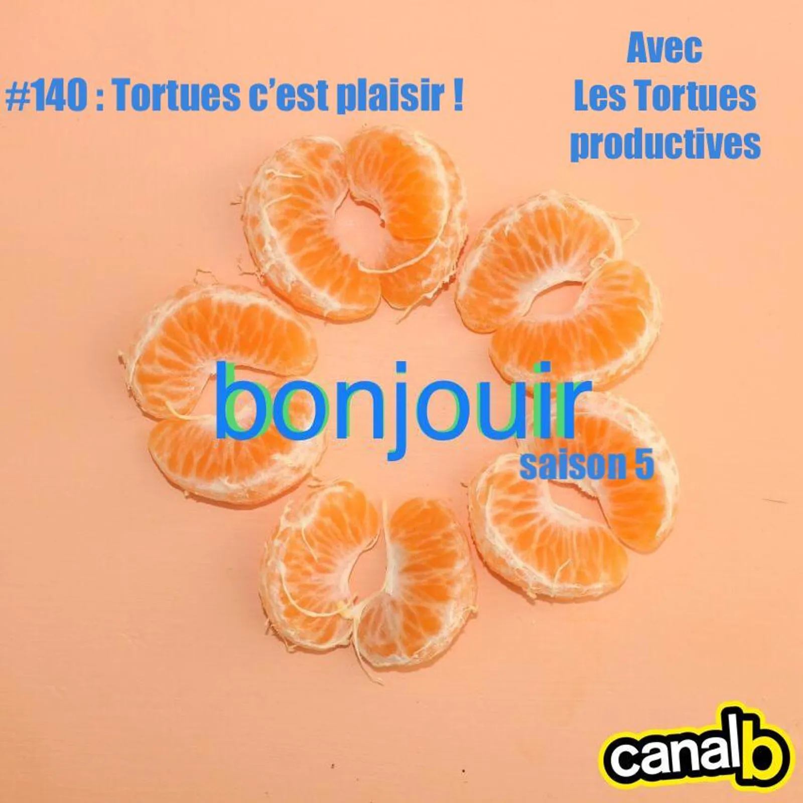 Tortues c'est plaisir !