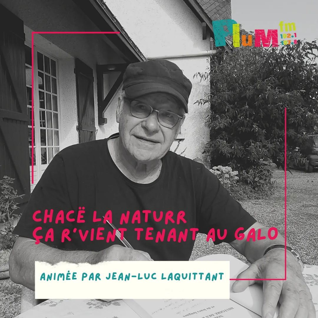 Chassez le naturel il revient toujours au gallo 