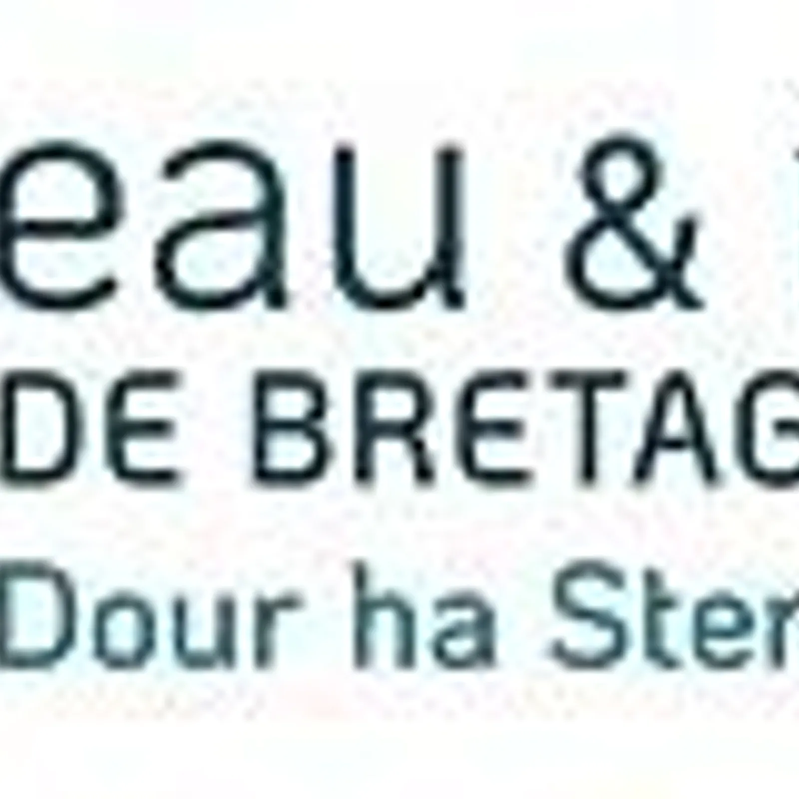 Aet eo "Dour ha sterioù Breizh" neus komite ren ar bezhin glas