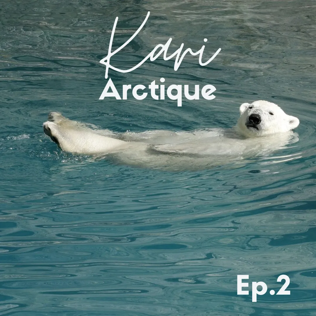 #S2E26 Kari Glacé à la façon Arctique (Ep. 2)