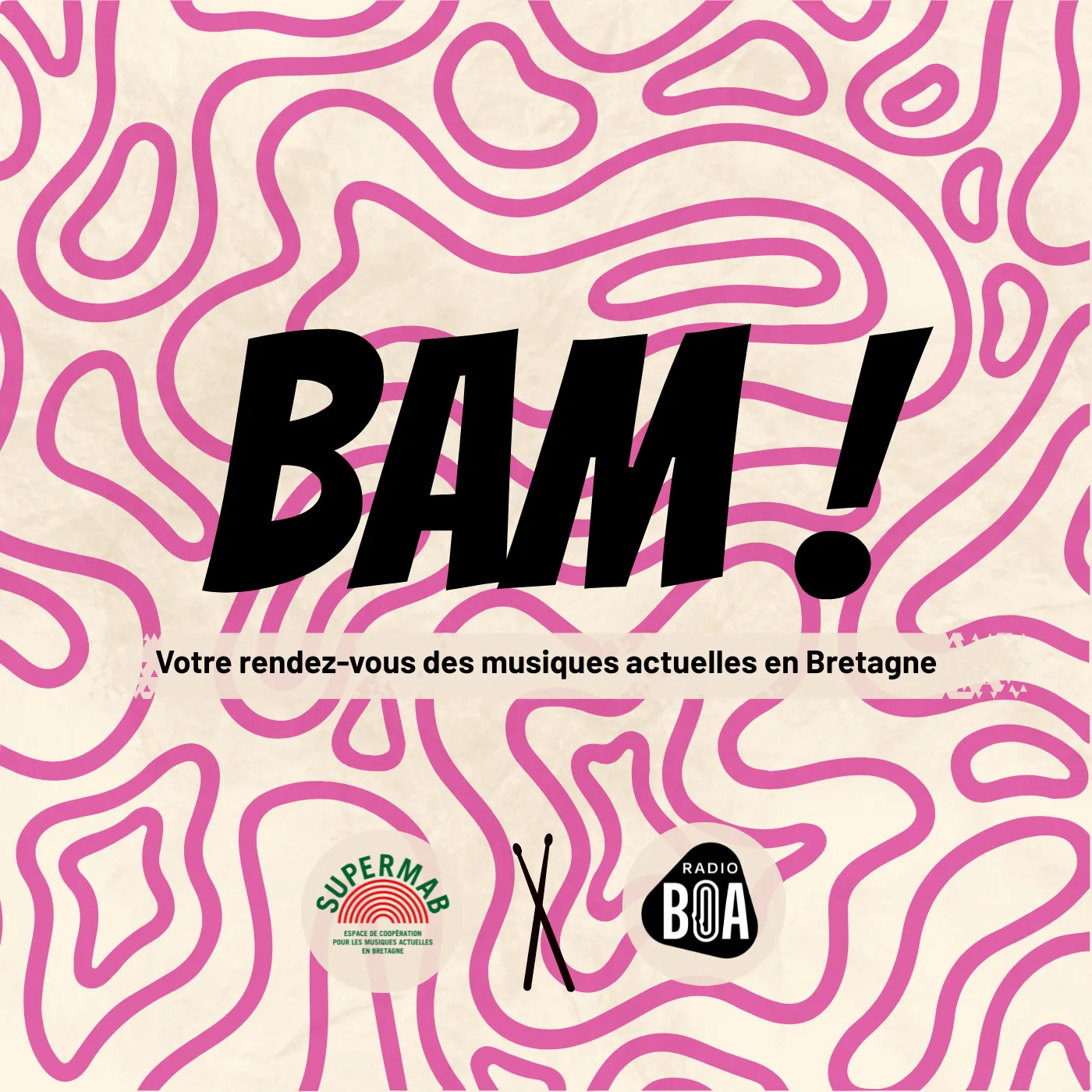 Episode 6 : Femmes, genres, VSS et musiques / Comment les réseaux bretons font évoluer les pratiques ?