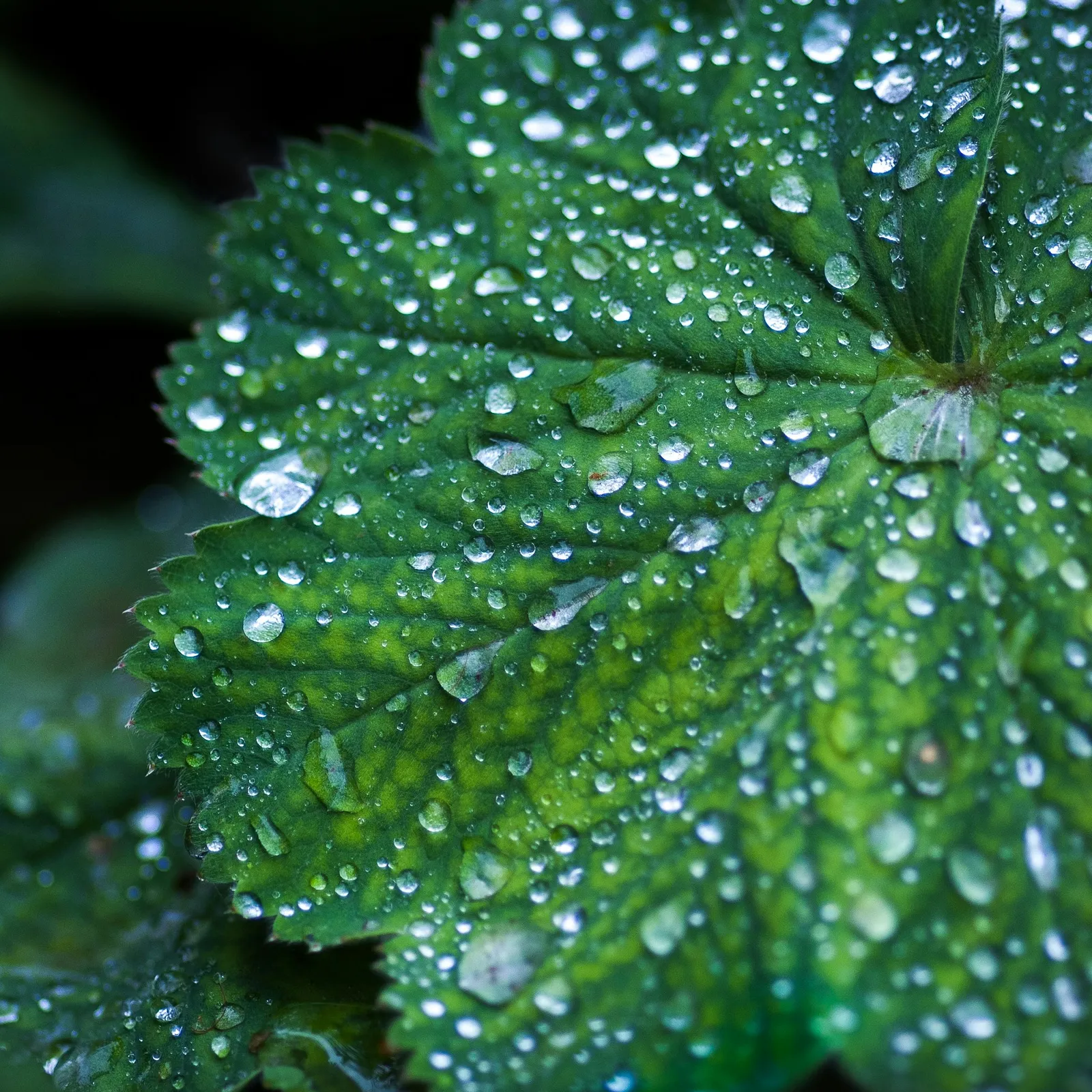 C'hwezh an deiz 06/02/2026