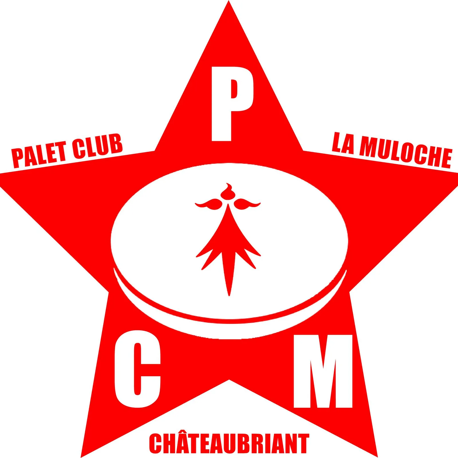 Ar PCM : ar c'hleub paledoù a zo bet savet nevez zo e Kastell-Briant